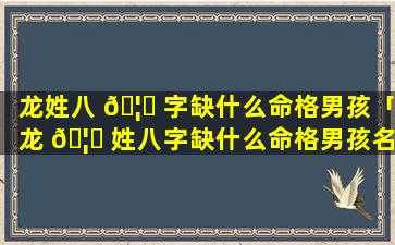 龙姓八 🦋 字缺什么命格男孩「龙 🦁 姓八字缺什么命格男孩名字」